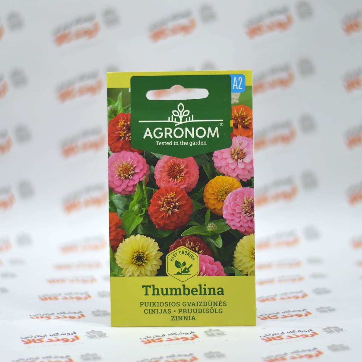 بذر گل زینیا Agronom