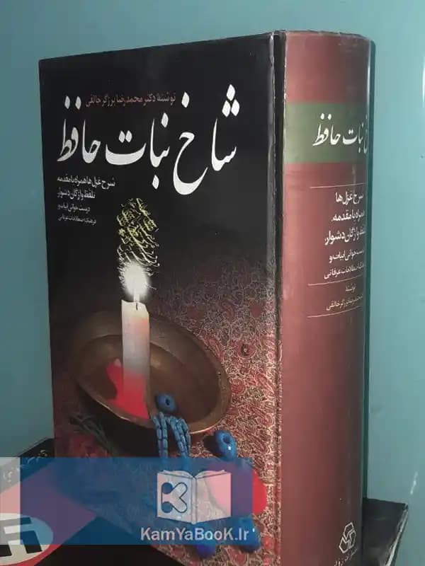 شاخ نبات حافظ اثر محمد رضا برزگر خالقی