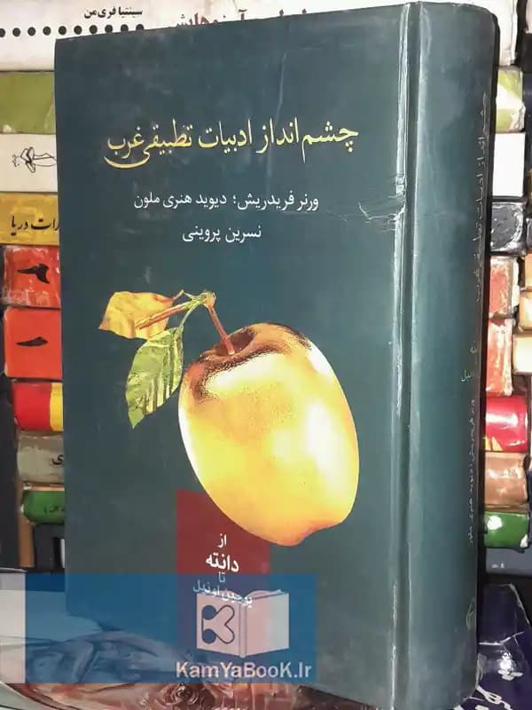 چشم انداز ادبیات تطبیقی غرب اثر ورنر فردریش