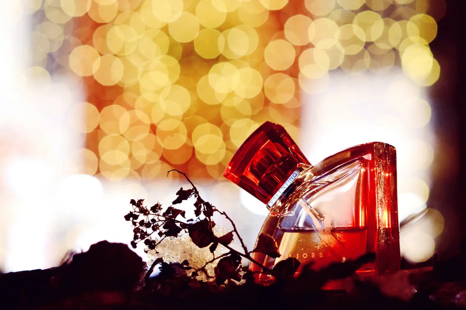 عطر ادکلن والنتینو وی ابسولو اصل | Valentino V Absolu — تصویر ۳