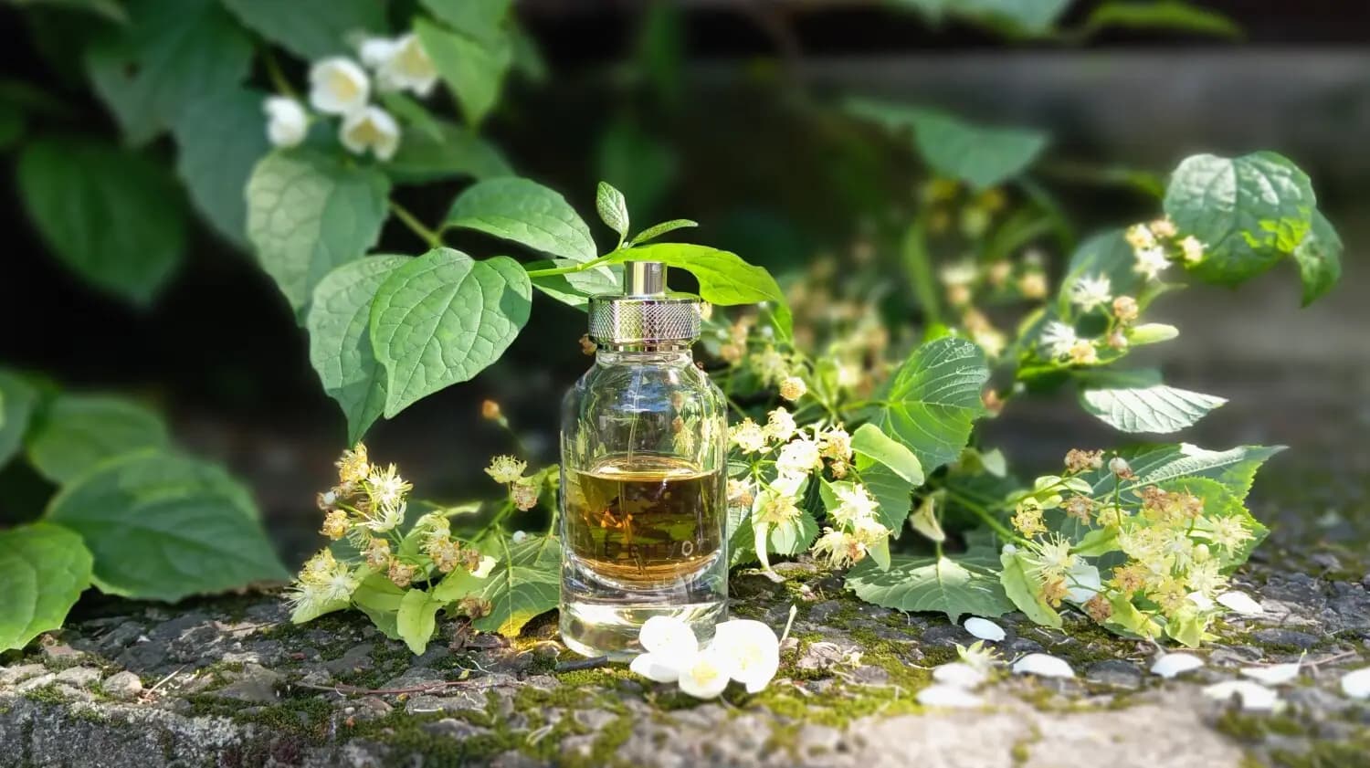 عطر ادکلن کارتیر له انوول د کارتیر اصل | Cartier L Envol de Cartier Eau de Parfum — تصویر ۶