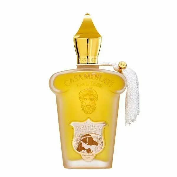 عطر ادکلن زرجوف کازاموراتی داما بیانکا اصل | Xerjoff Dama Bianca — تصویر ۵