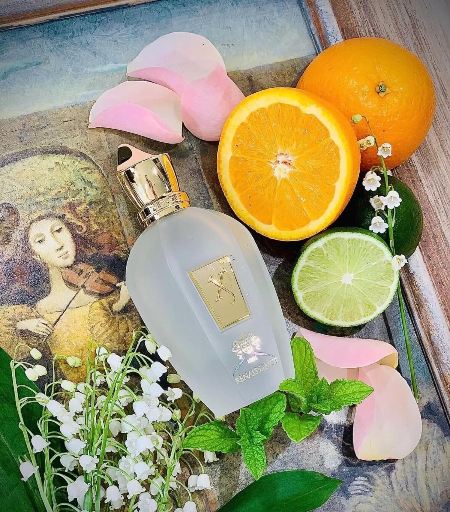 عطر ادکلن زرجوف رنسانس اصل | Xerjoff XJ 1861 Renaissance — تصویر ۶