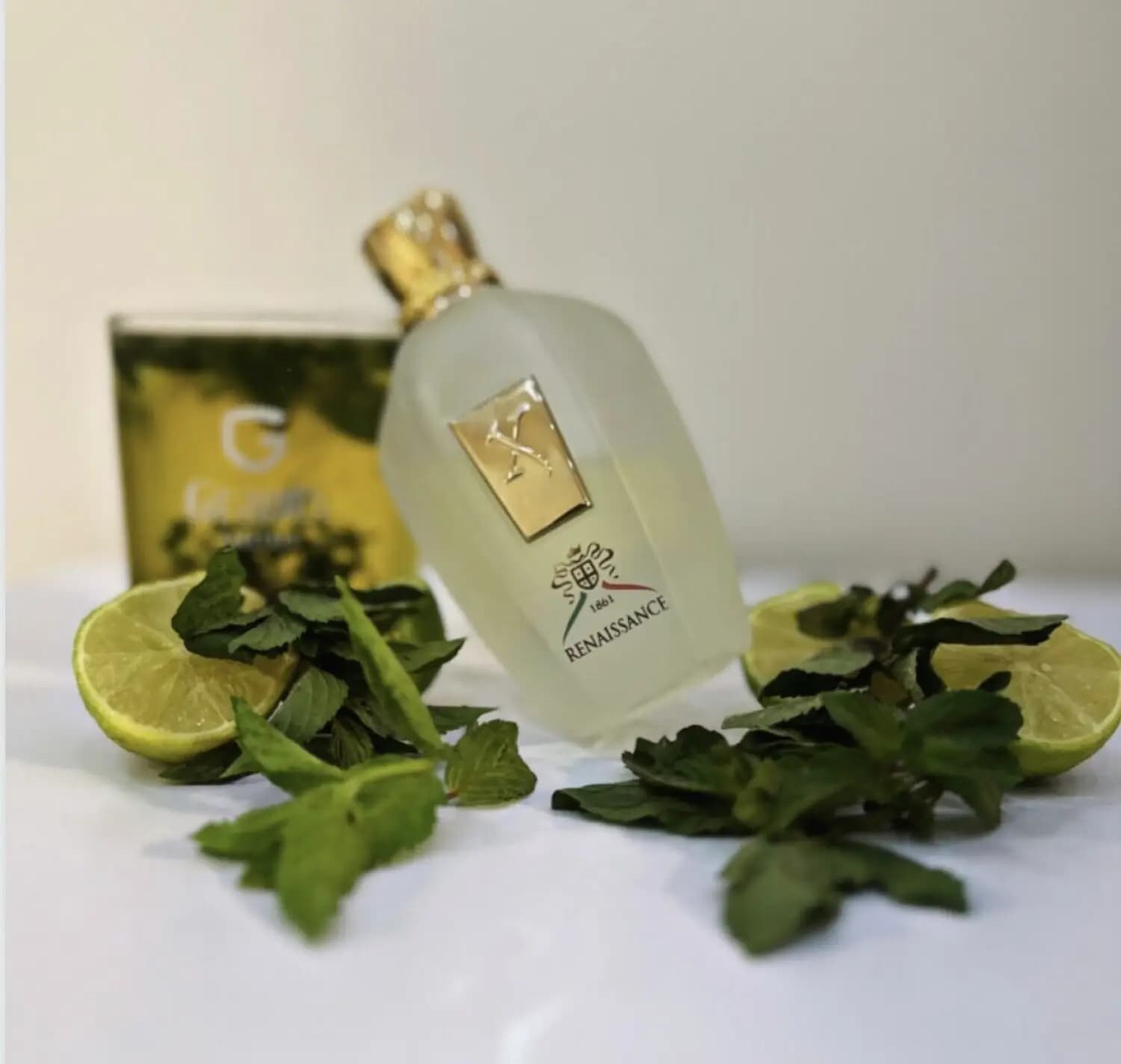عطر ادکلن زرجوف رنسانس اصل | Xerjoff XJ 1861 Renaissance — تصویر ۴