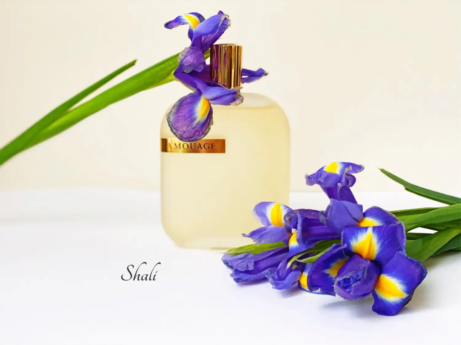 عطر ادکلن آمواج اوپوس پنج اصل | Amouage The Library Collection Opus V — تصویر ۴