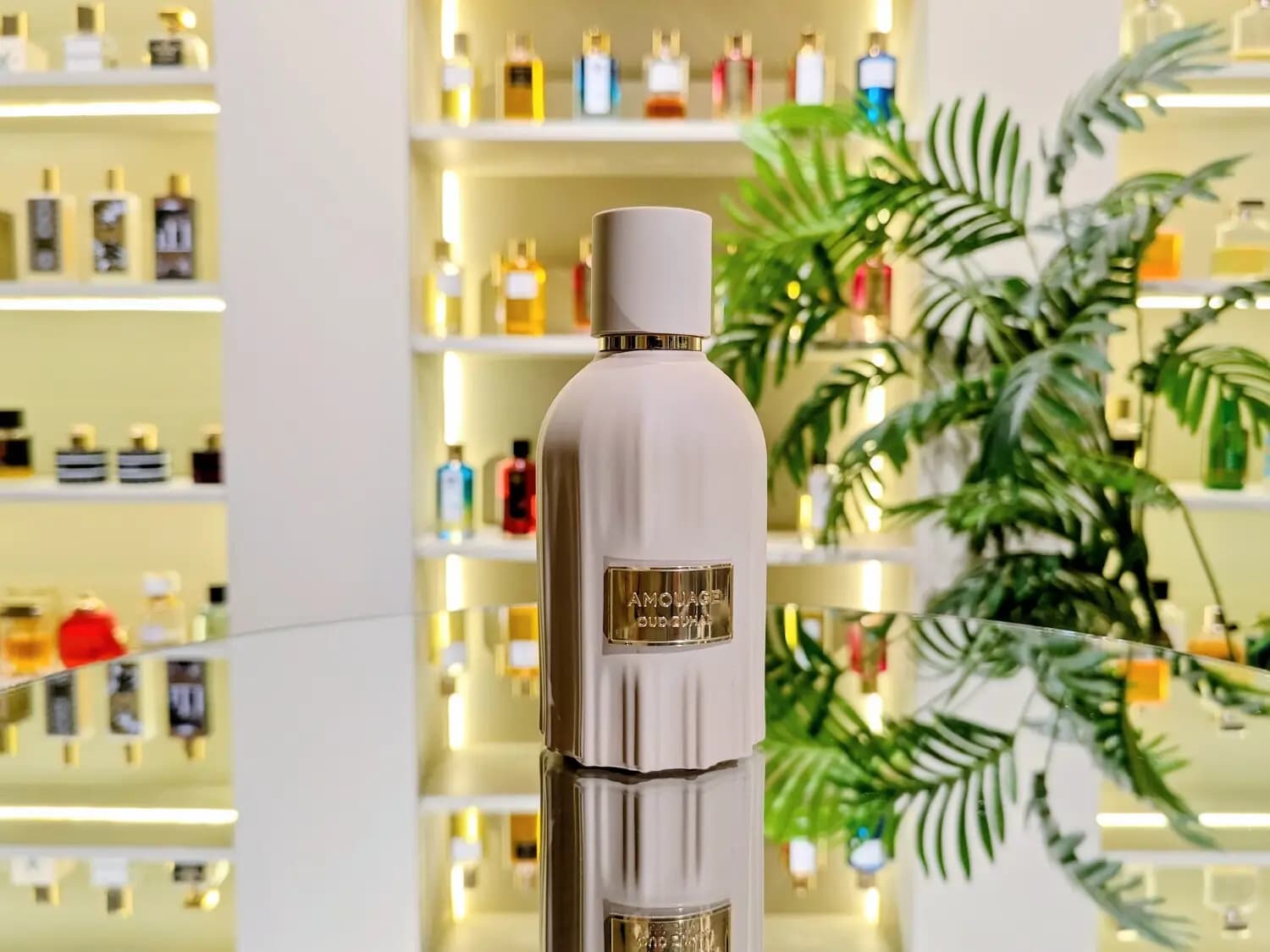 عطر ادکلن آمواج عود زحل ۲۰۲۶ اصل | Amouage Oud Zuhal — تصویر ۸
