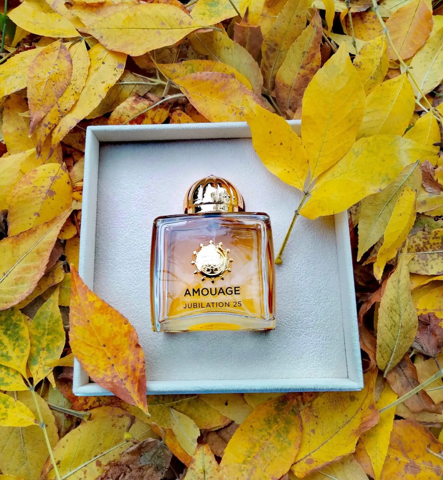 عطر ادکلن آمواج جوبیلیشن زنانه اصل | Amouage Jubilation 25 Woman — تصویر ۴