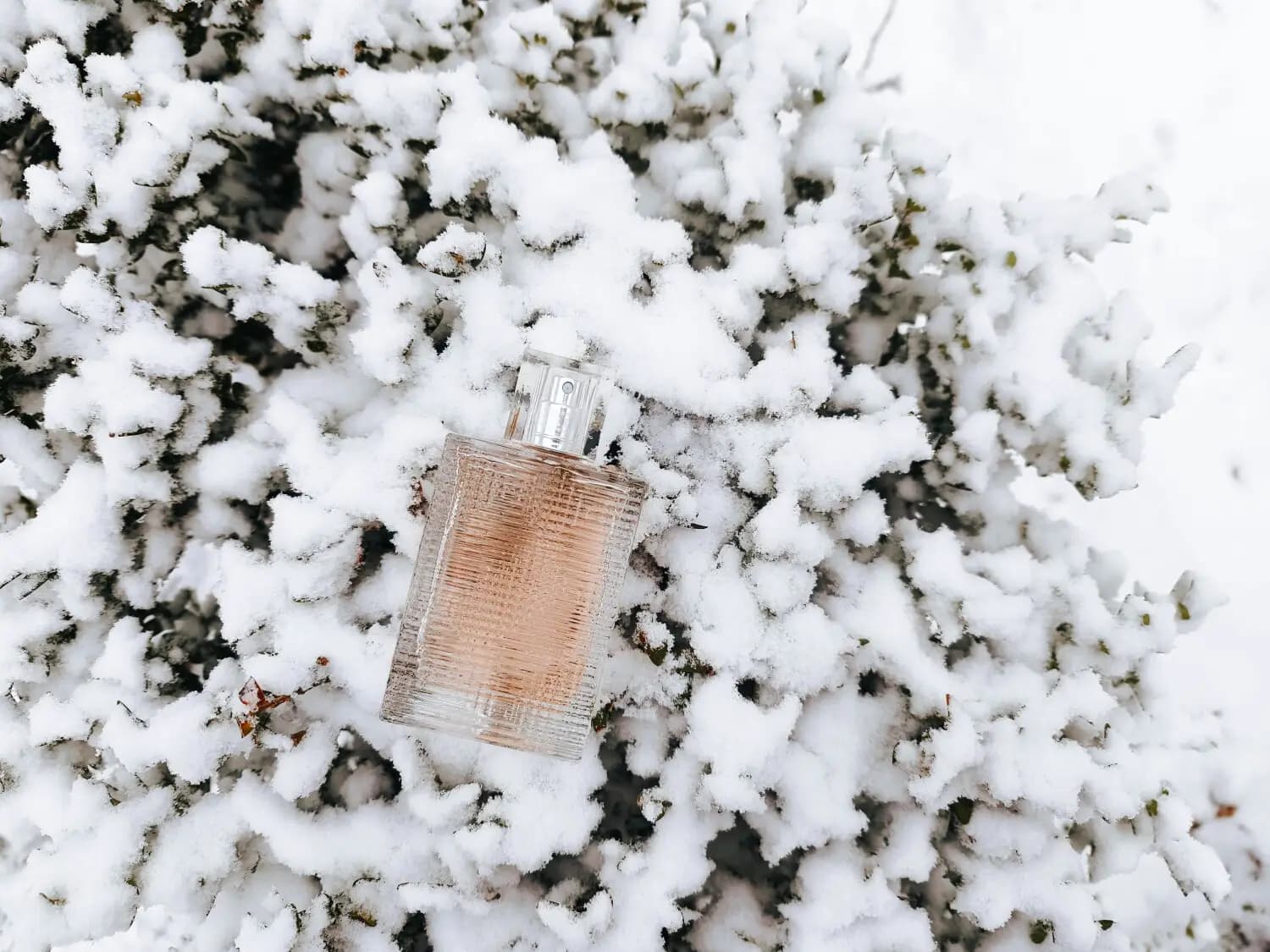 عطر ادکلن باربری بریت ریتم زنانه اصل | Burberry Brit Rhythm for Women — تصویر ۳