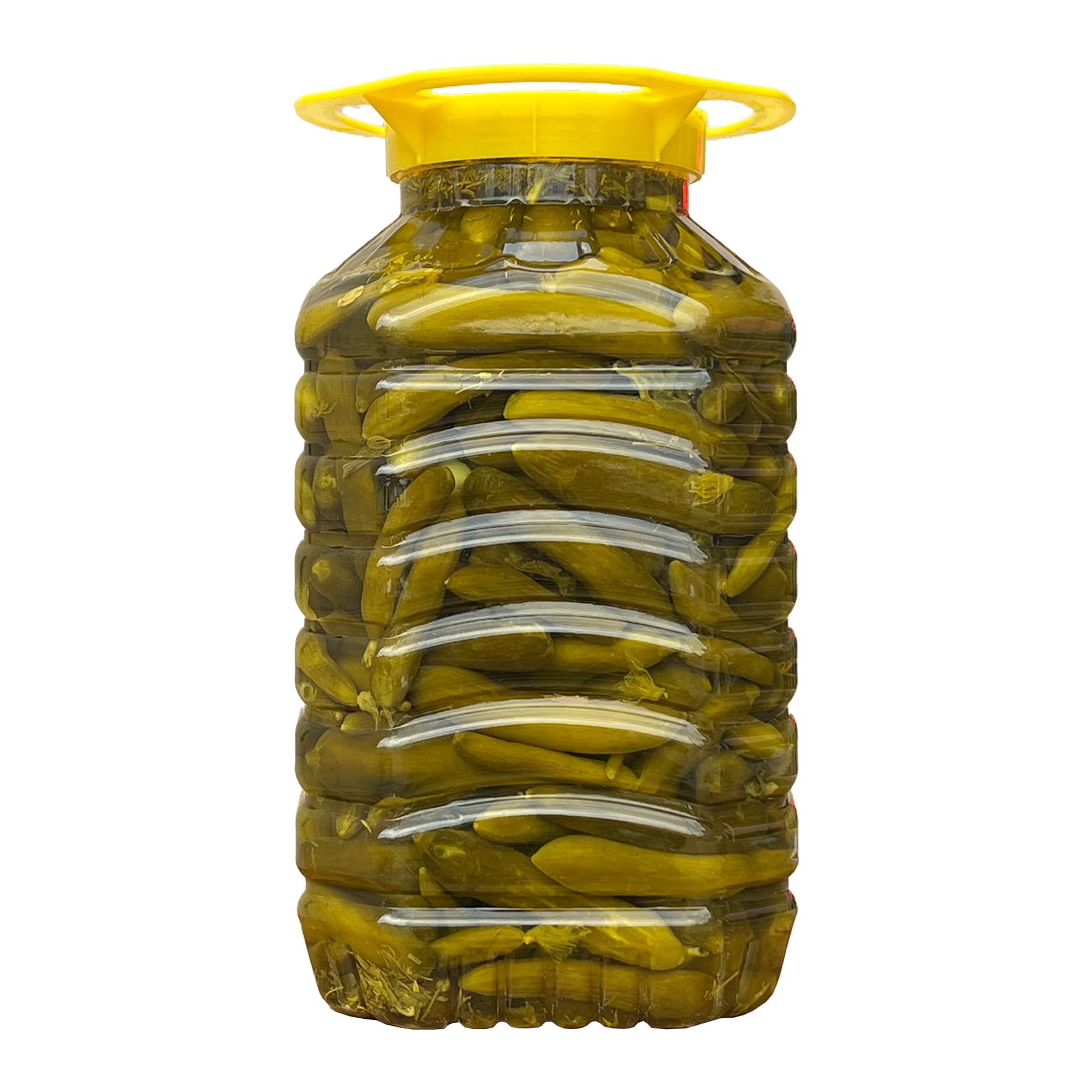 خیارشور سرکه ای نمکی 10 کیلوگرم