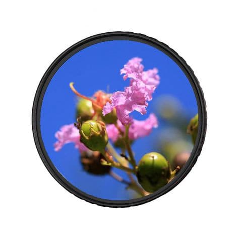 فیلتر لنز دیفیوزر Zomei Soft Filter 55mm — تصویر ۸