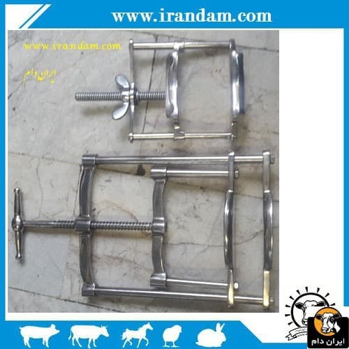 دهان باز کن اسب — تصویر ۲