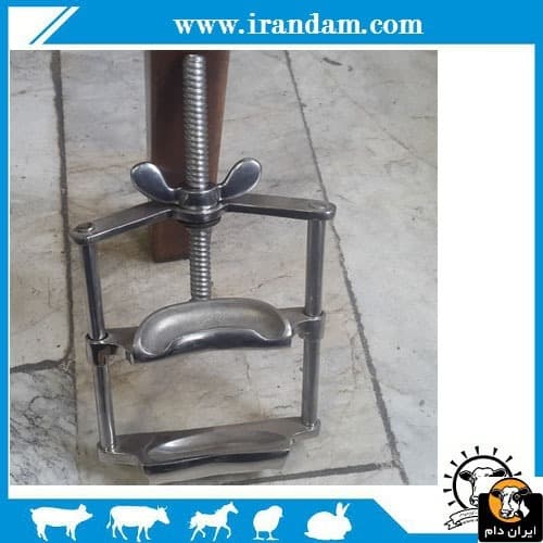 دهان باز کن اسب — تصویر ۳