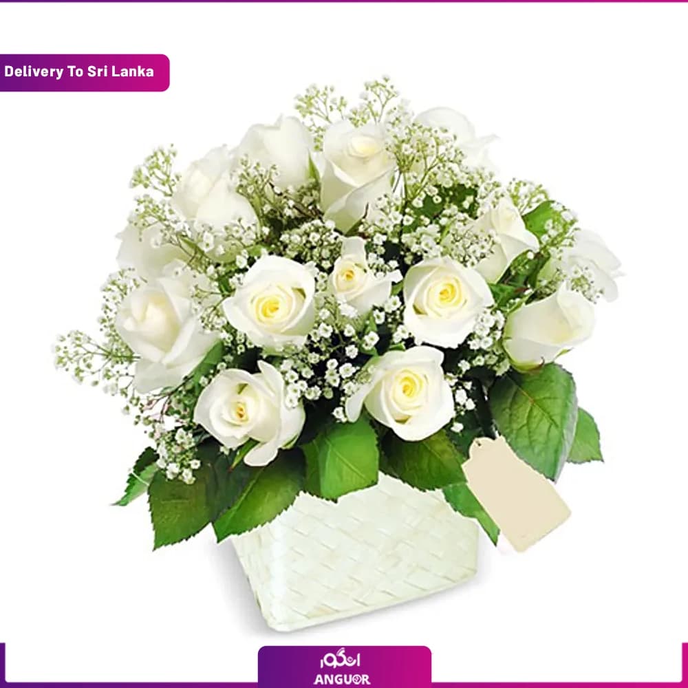 (Delivery in Sri Lanka) Pot Of White Roses
