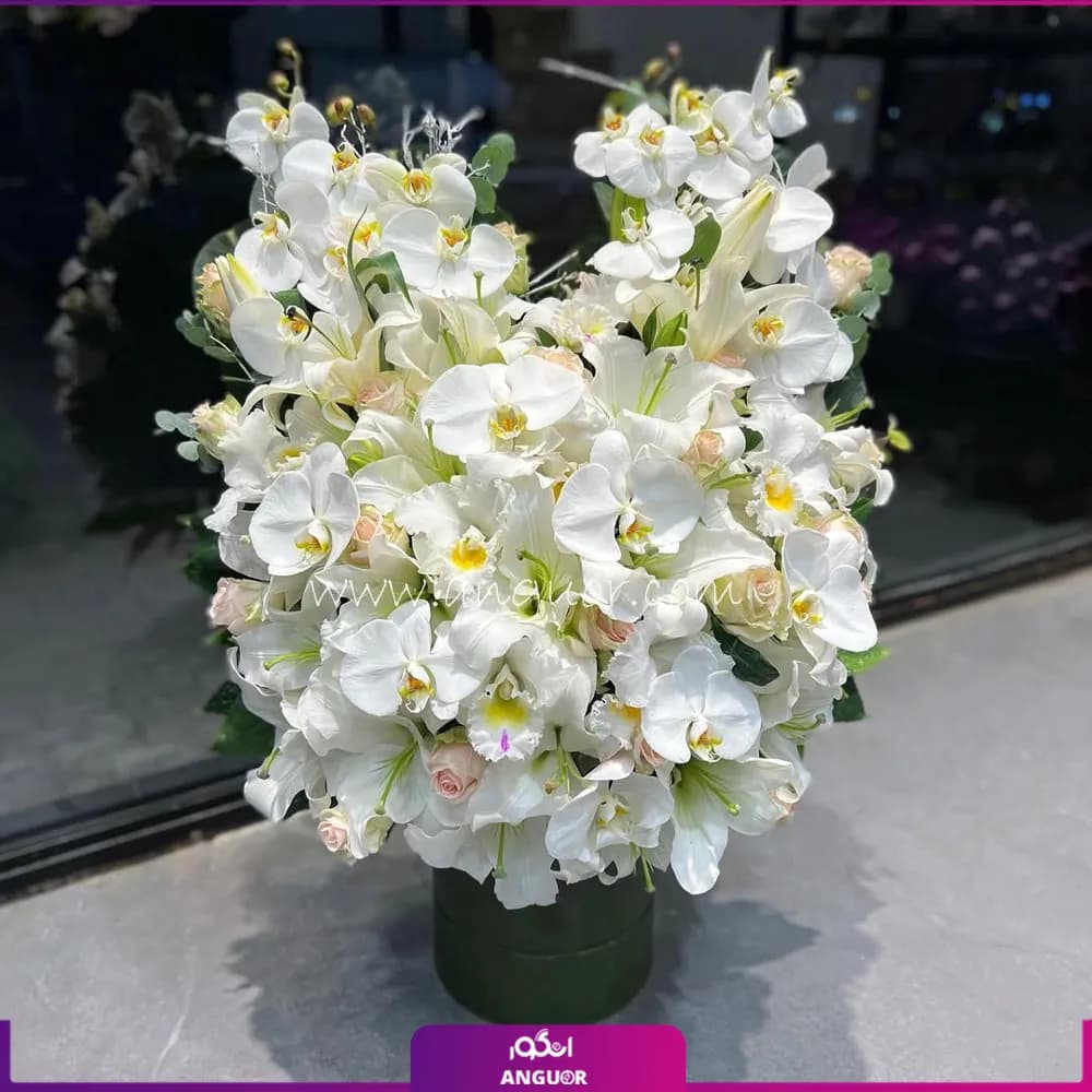 جام گل ارکیده و اوریانتال — تصویر ۲