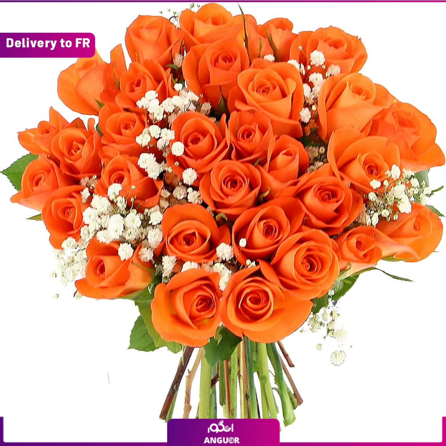 Sunlight Roses (Delivery to France)