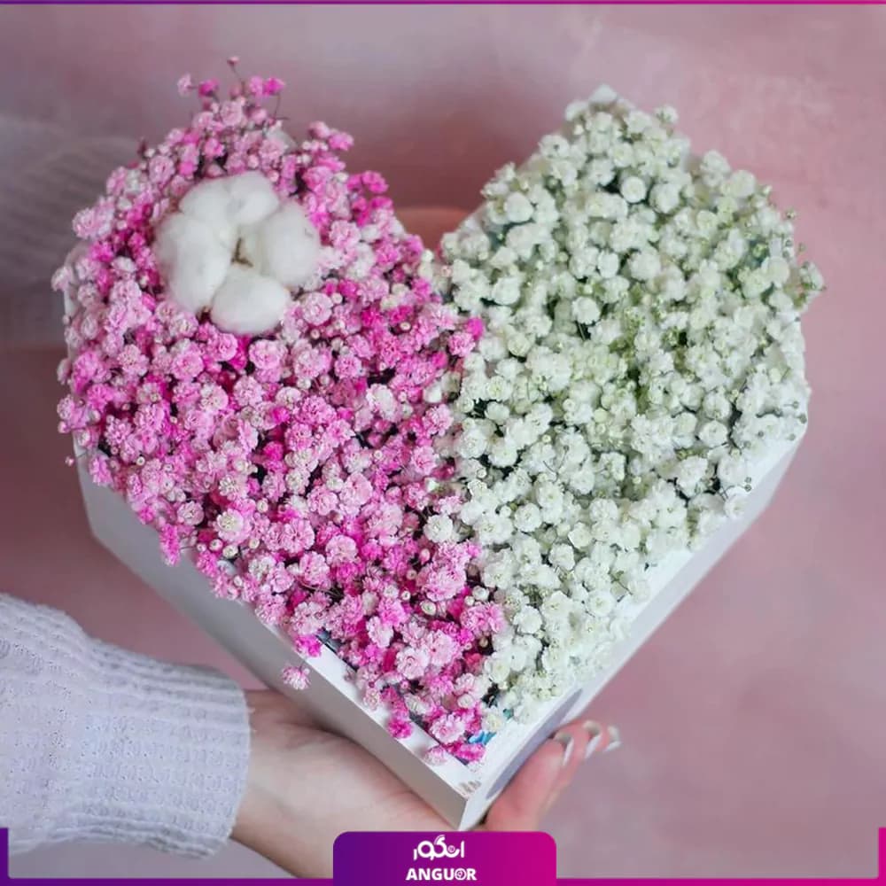 باکس گل قلبی تو فقط باش