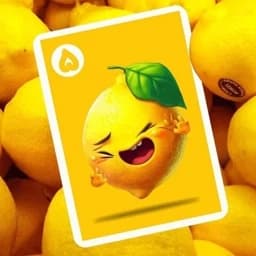 بازی فکری بی لاف نسخه مزه ها لیلو گیمز — تصویر ۴