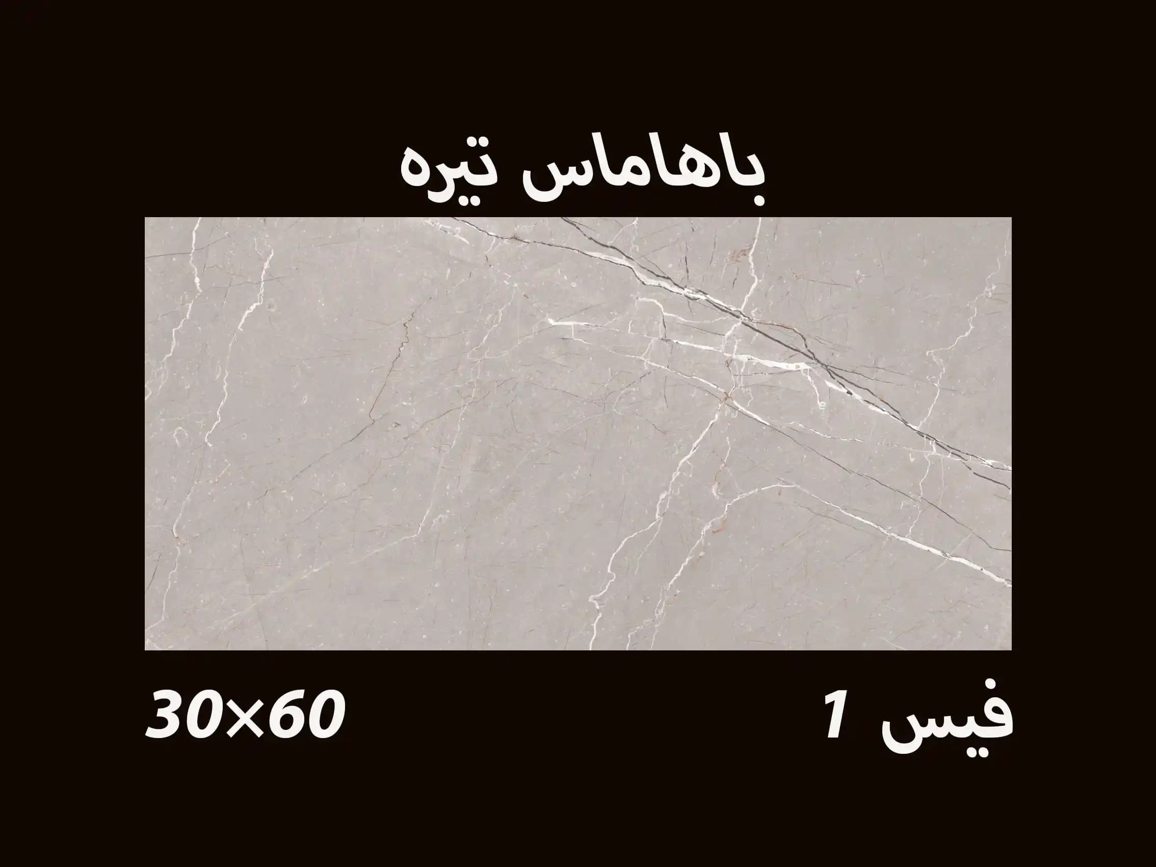 کاشی طرح سنگ باهاماس تیره 30*60 — تصویر ۲