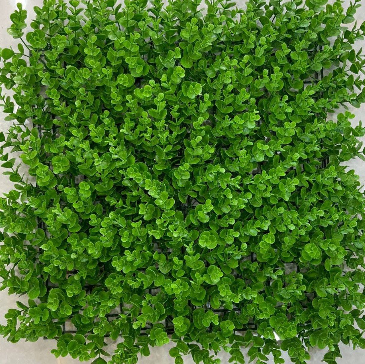 دیوار سبز شمشادی A — تصویر ۲