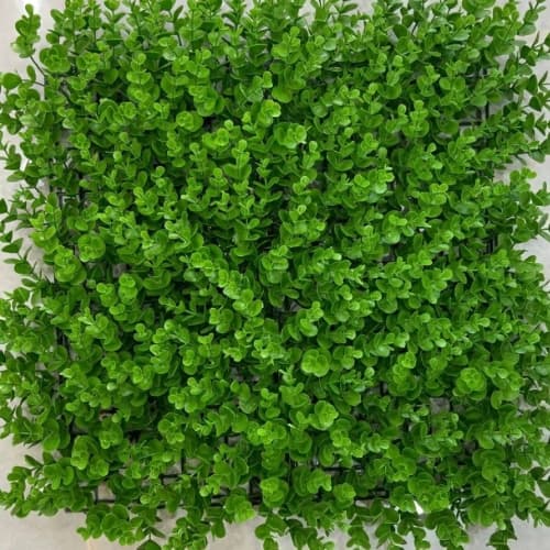 دیوار سبز شمشادی A
