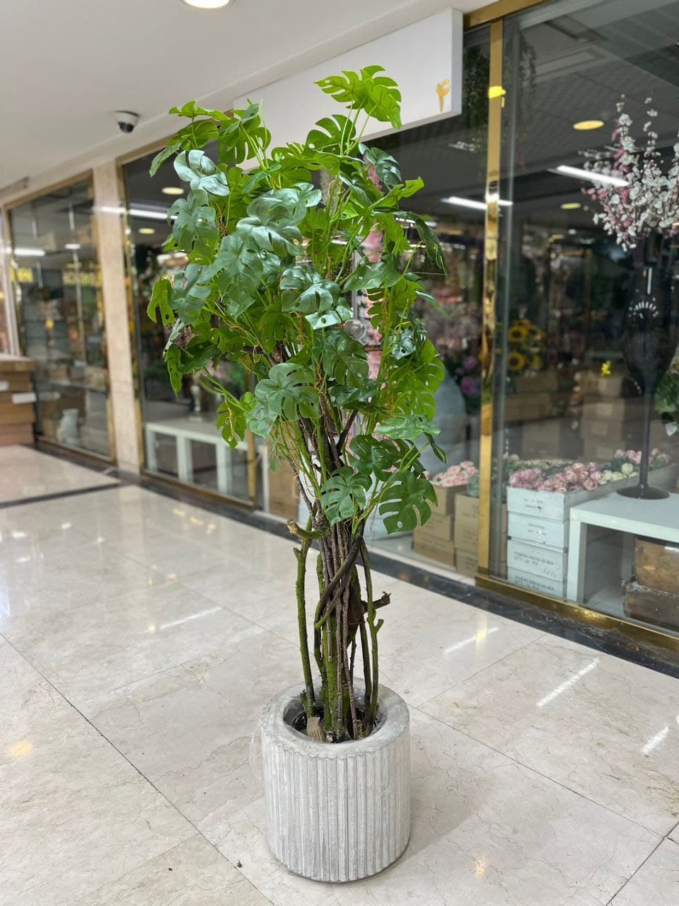 درختچه انجیری مصنوعی 160 سانتی متر