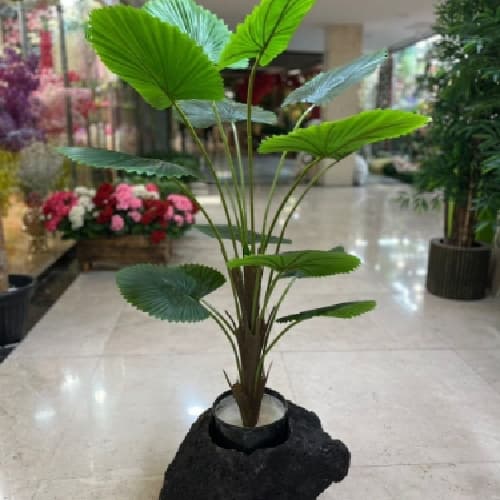 درختچه پالم مصنوعی 1 متری با تنه طرح کنف