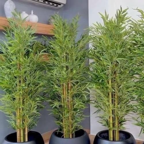درختچه بامبو مصنوعی سوپر 2 متری