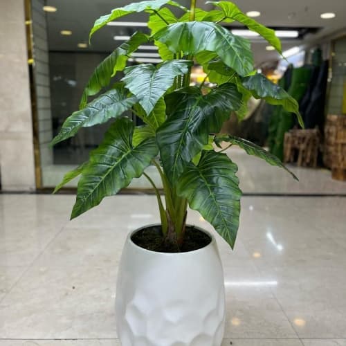 درختچه مصنوعی باباآدم الوکازیا یک تنه 140 سانتی متر