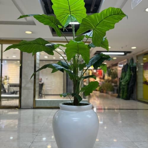 درختچه مصنوعی باباآدم الوکازیا 160 تک تنه