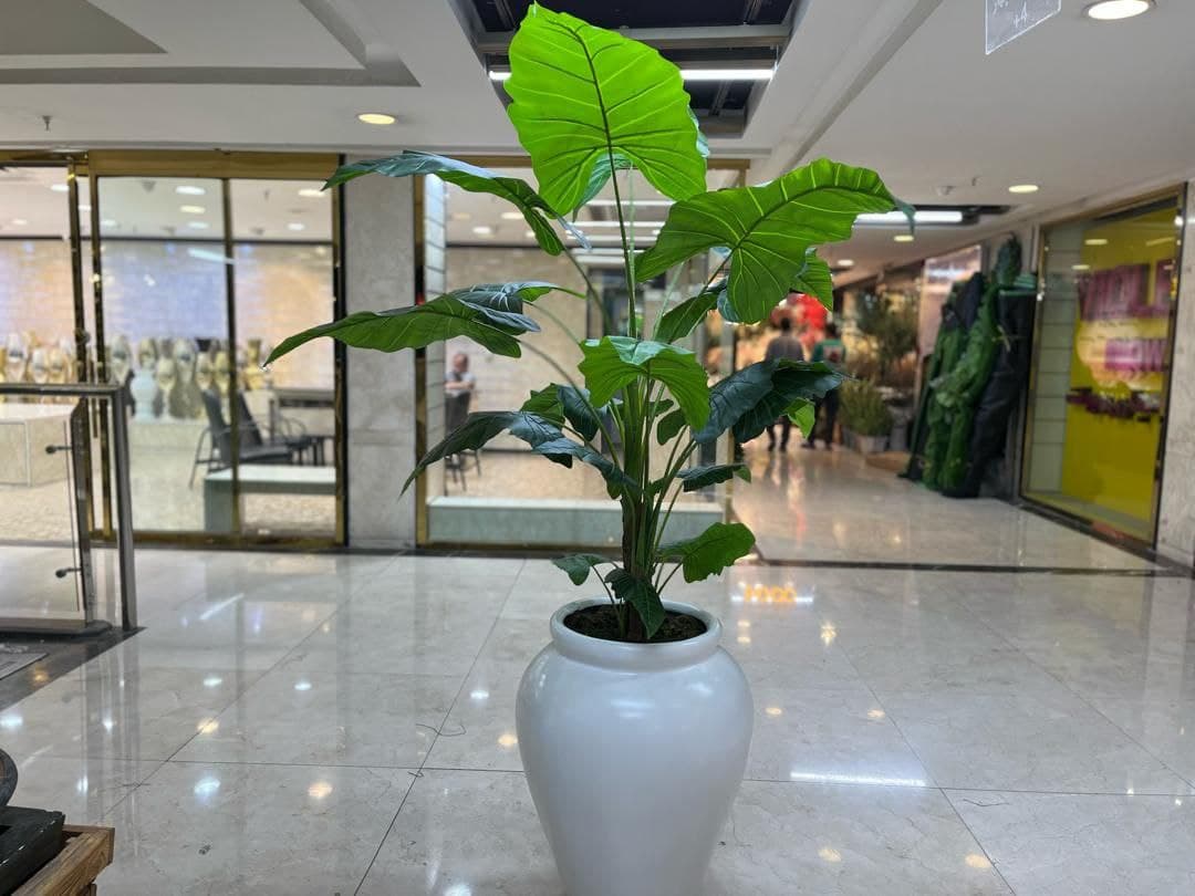 درختچه مصنوعی باباآدم الوکازیا 160 تک تنه — تصویر ۲