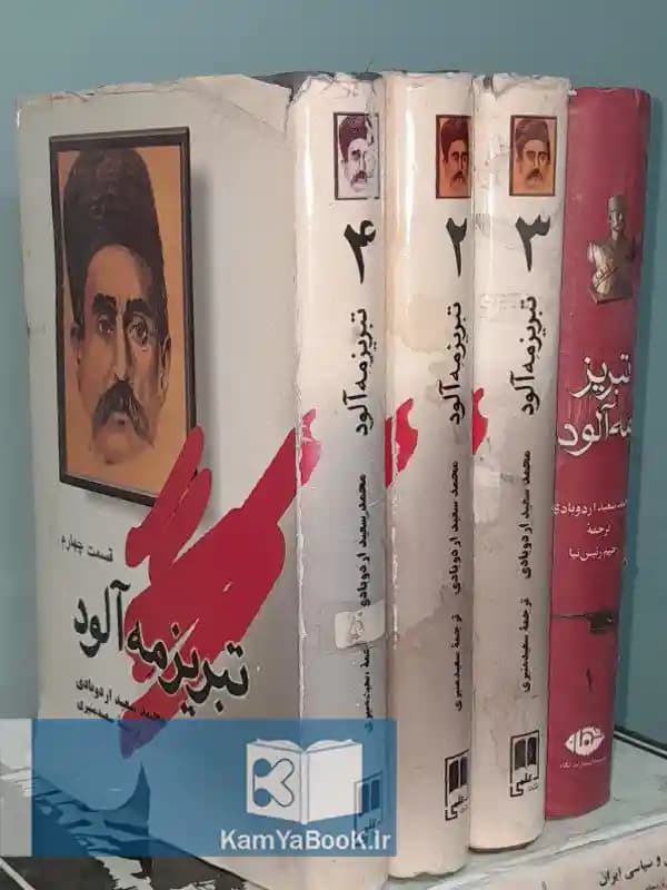 تبریز مه آلود اثر محمد سعید اردوبادی