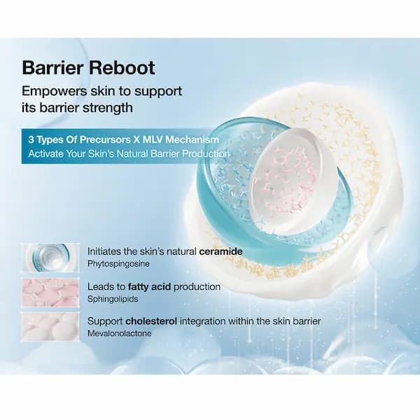 کرم مرطوب کننده و آبرسان آنوا مدل Barrier Reboot — تصویر ۳