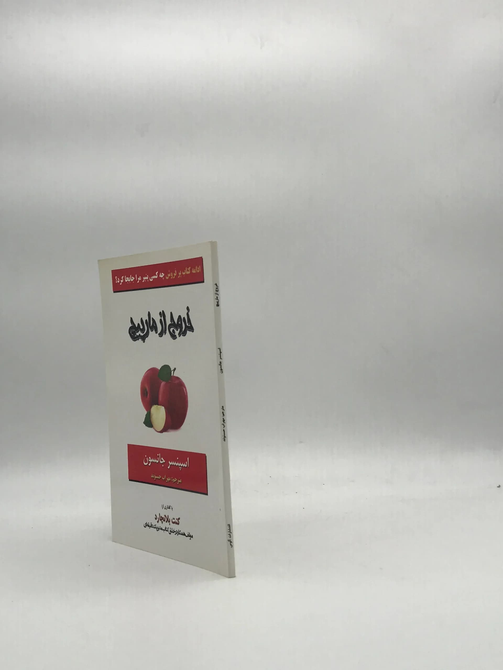 خروج از مارپیچ- ادامه کتاب چه کسی پنیر مرا جابجا کرد — تصویر ۳