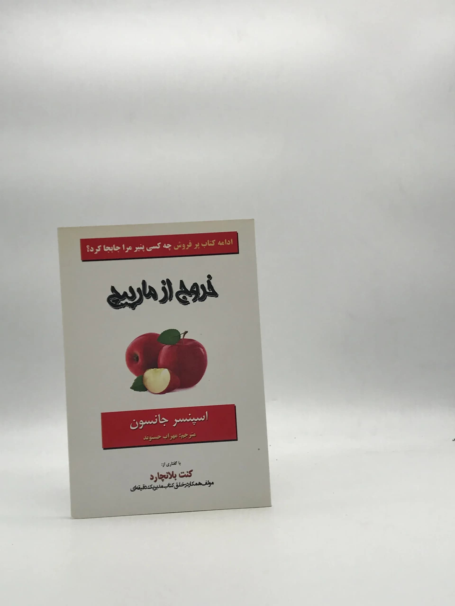 خروج از مارپیچ- ادامه کتاب چه کسی پنیر مرا جابجا کرد