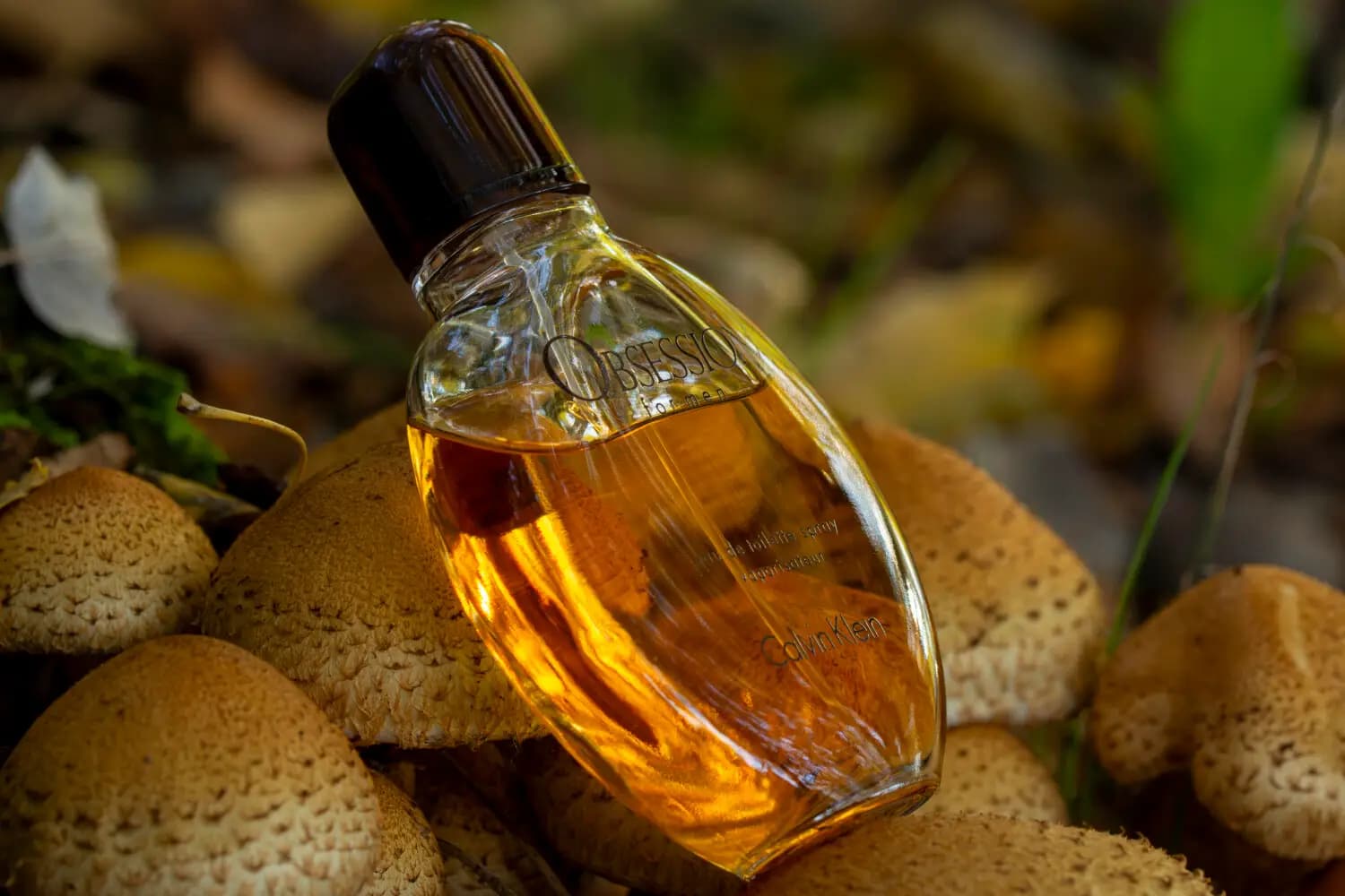 عطر ادکلن کلوین کلین (سی کی) آبسشن مردانه ادوتویلت اصل | Calvin Klein Obsession for Men — تصویر ۷