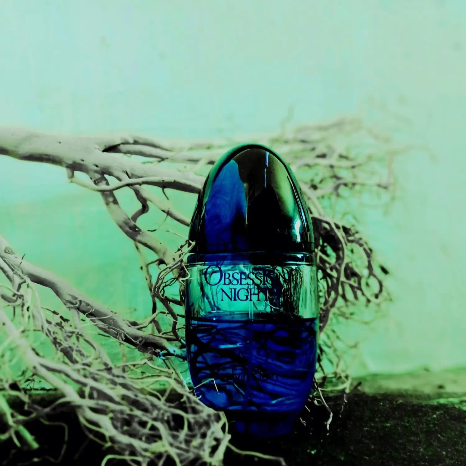 عطر ادکلن کلوین کلین (سی کی) آبسشن نایت زنانه اصل | Calvin Klein Obsession Night Woman — تصویر ۴