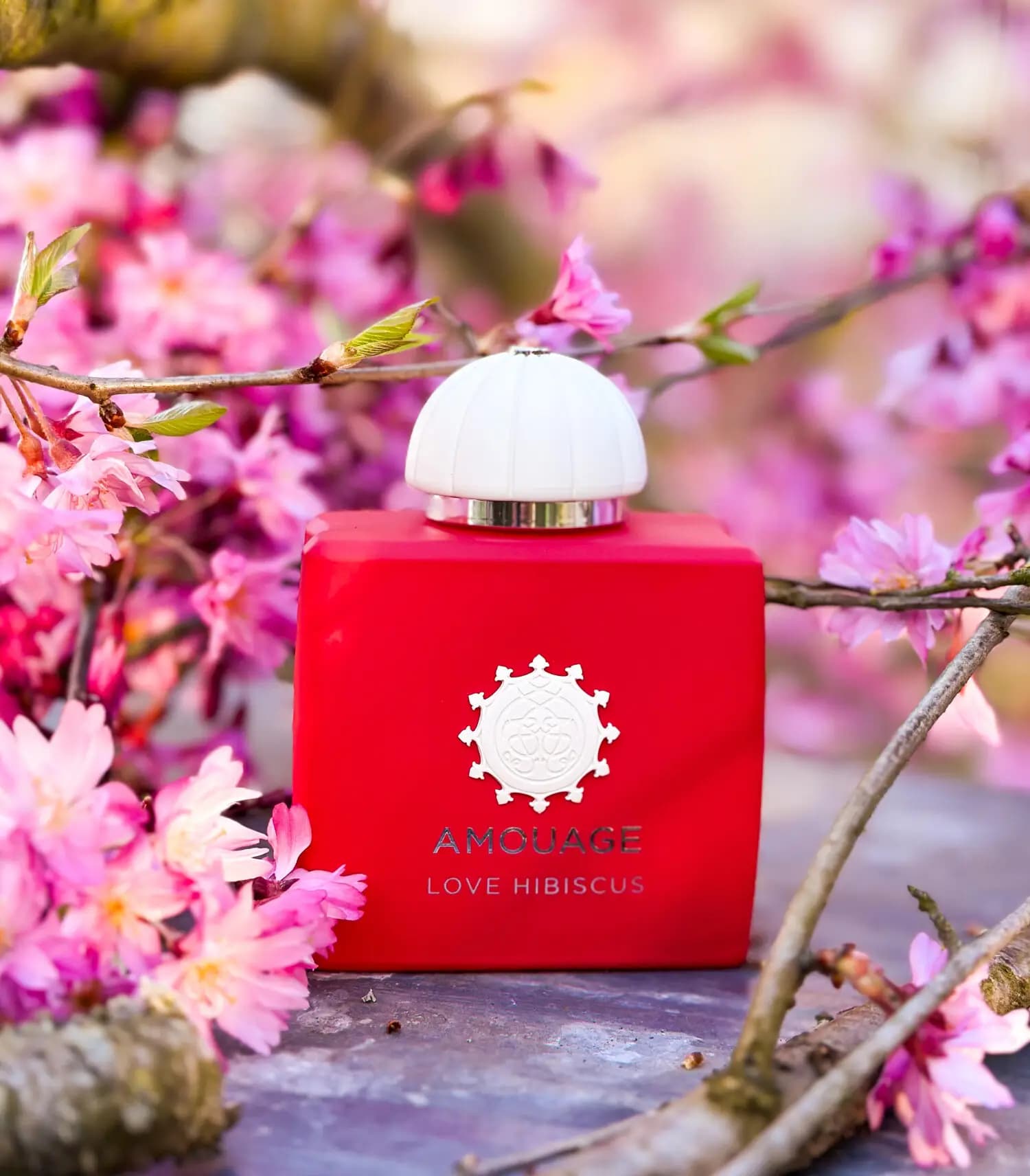 عطر ادکلن آمواج لاو هیبیسکوس ۲۰۲۶ اصل | Amouage Love Hibiscus — تصویر ۴