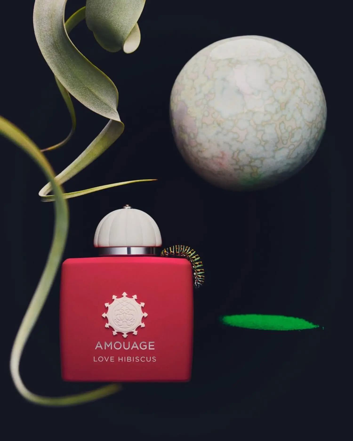عطر ادکلن آمواج لاو هیبیسکوس ۲۰۲۶ اصل | Amouage Love Hibiscus — تصویر ۳