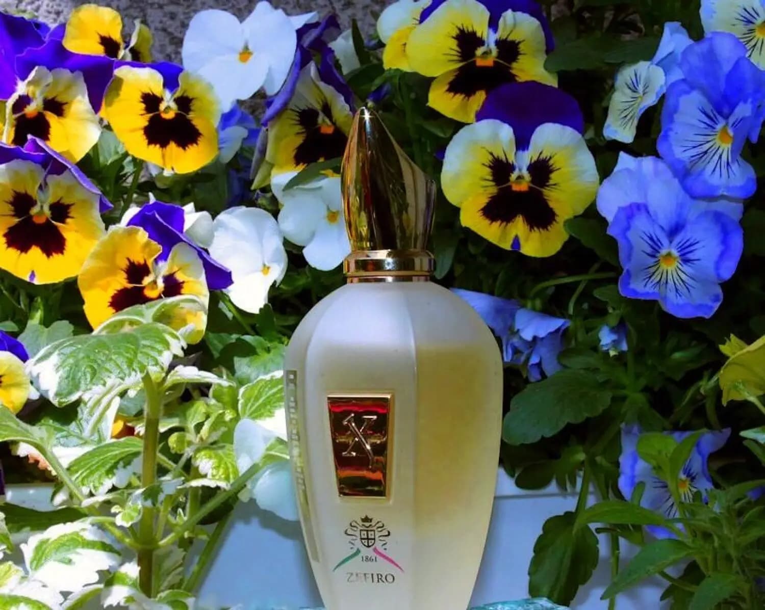 عطر ادکلن زرجوف زفیرو اصل | Xerjoff XJ 1861 Zefiro — تصویر ۴
