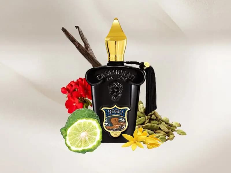 عطر ادکلن زرجوف کازاموراتی رجیو اصل | Casamorati 1888 Regio — تصویر ۴