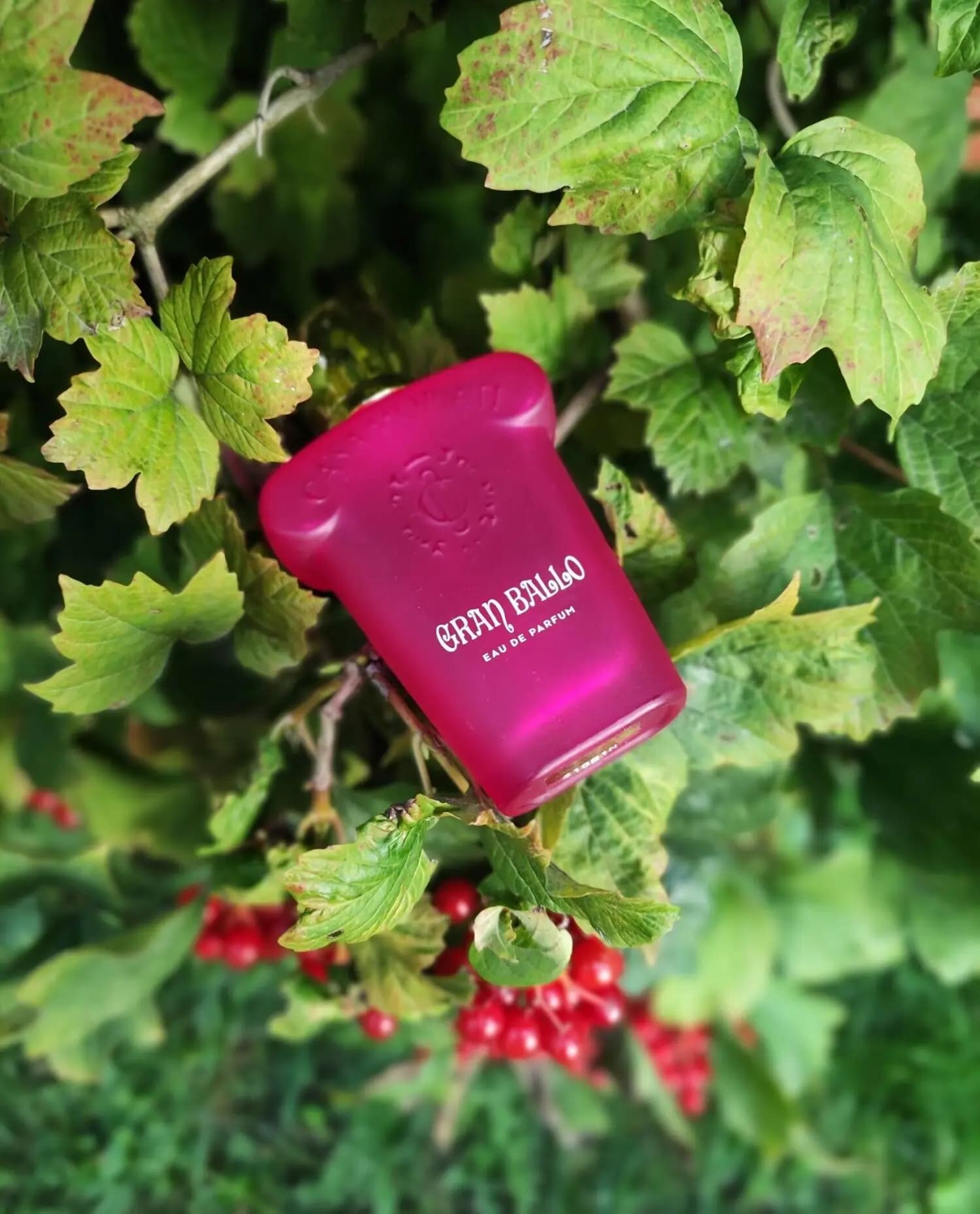 عطر ادکلن زرجوف گران بالو اصل | Casamorati 1888 Gran Ballo — تصویر ۷