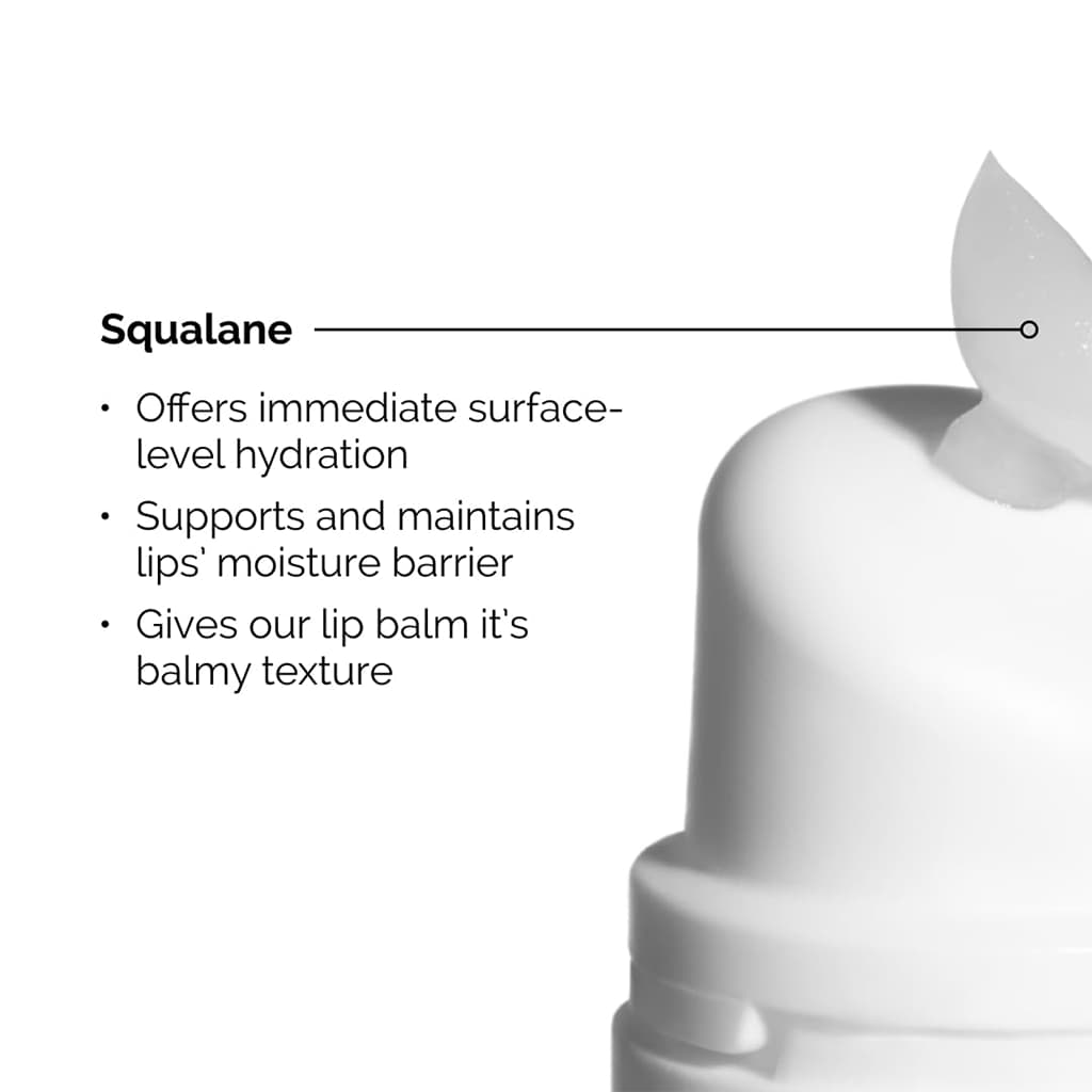 بالم لب اوردینری The Ordinary lip balm — تصویر ۳