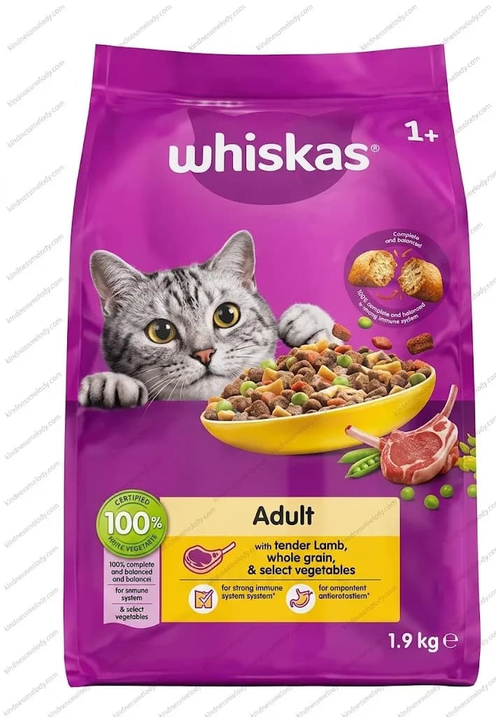 غذای خشک گربه ویسکاس طعم گوشت بره Whiskas Dry Cat Food with Lamb Flavor وزن 1.9 کیلوگرم