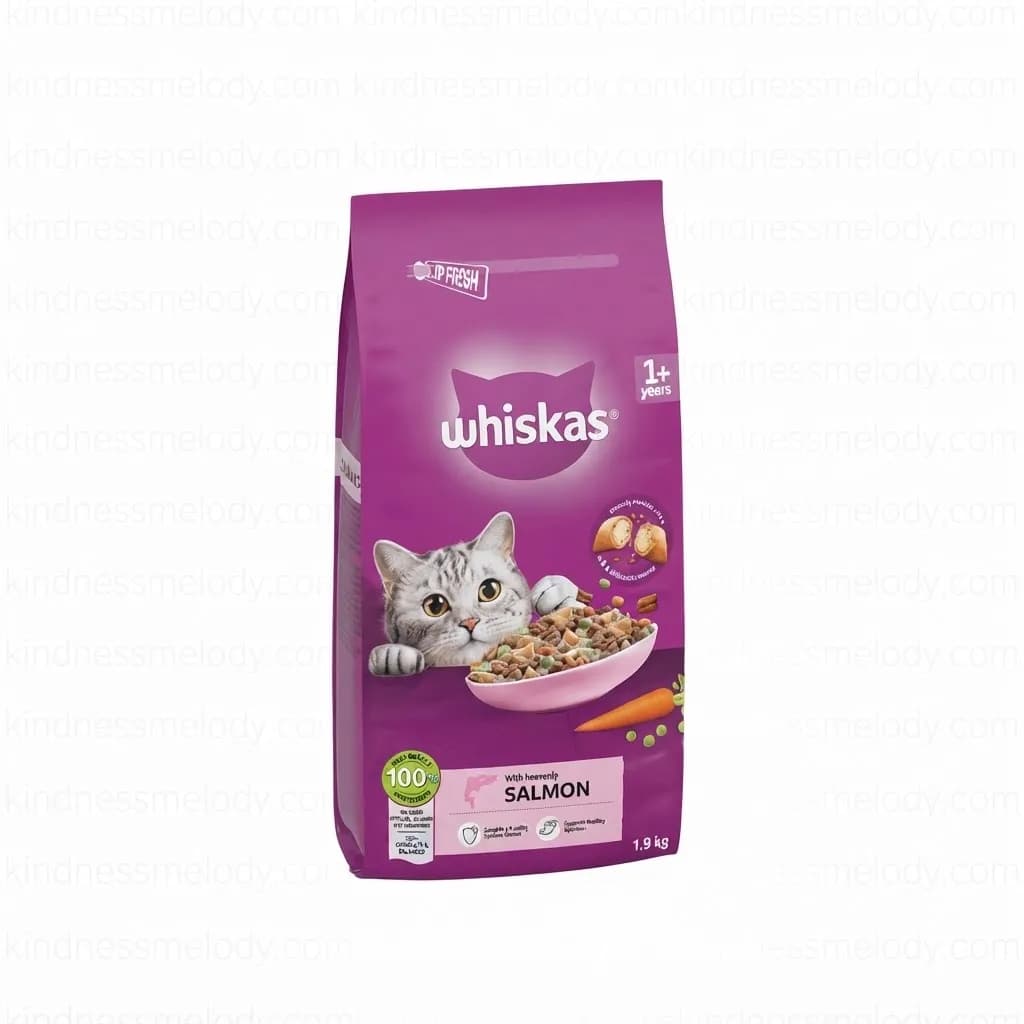 غذای خشک گربه ویسکاس طعم سالمون Whiskas Dry Cat Food Salmon وزن ۱.۹ کیلوگرم