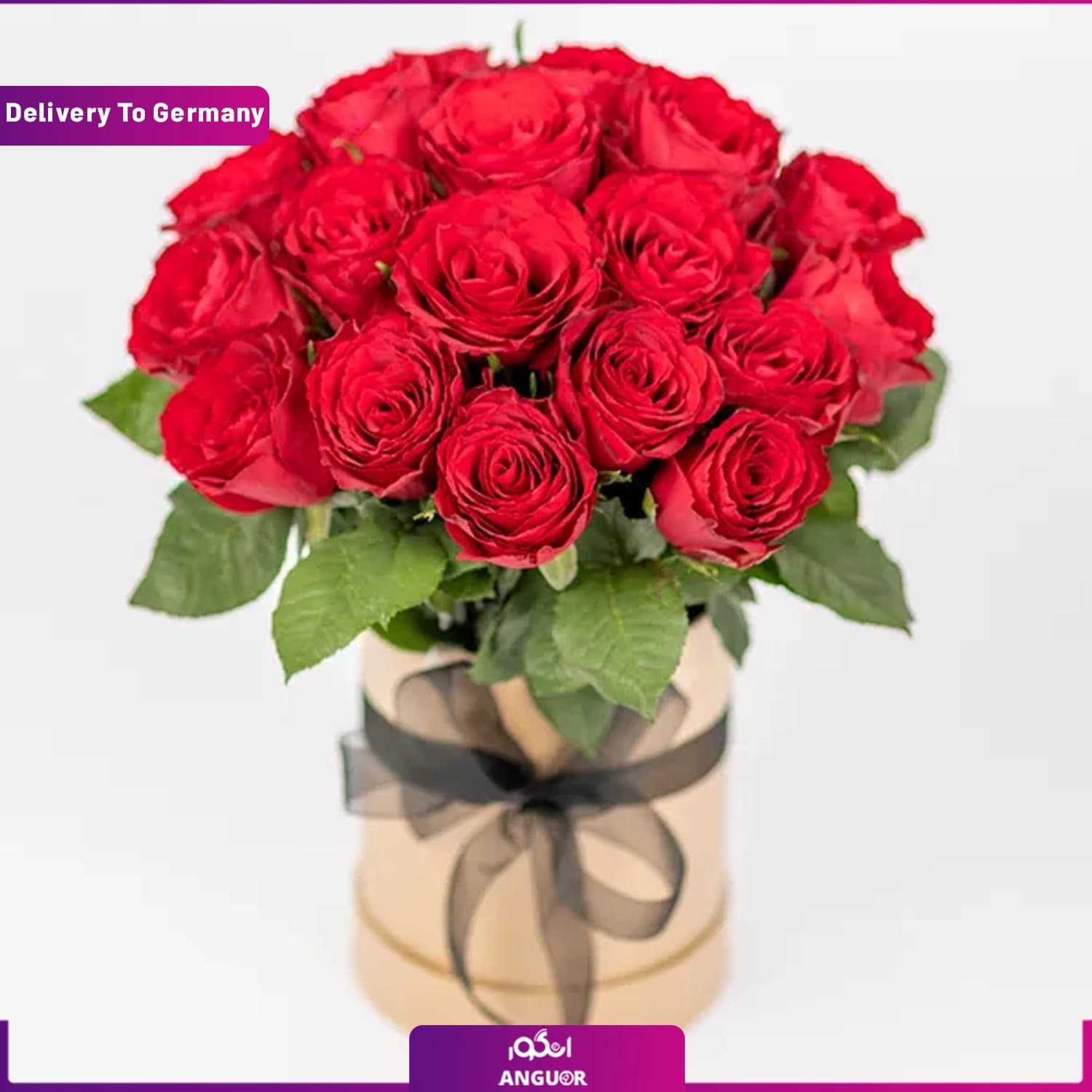 باکس قرمز با رز قرمز 20 شاخه (ارسال گل به آلمان)