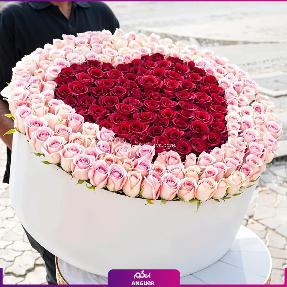 باکس گل قلبی آلین با گلهای رز