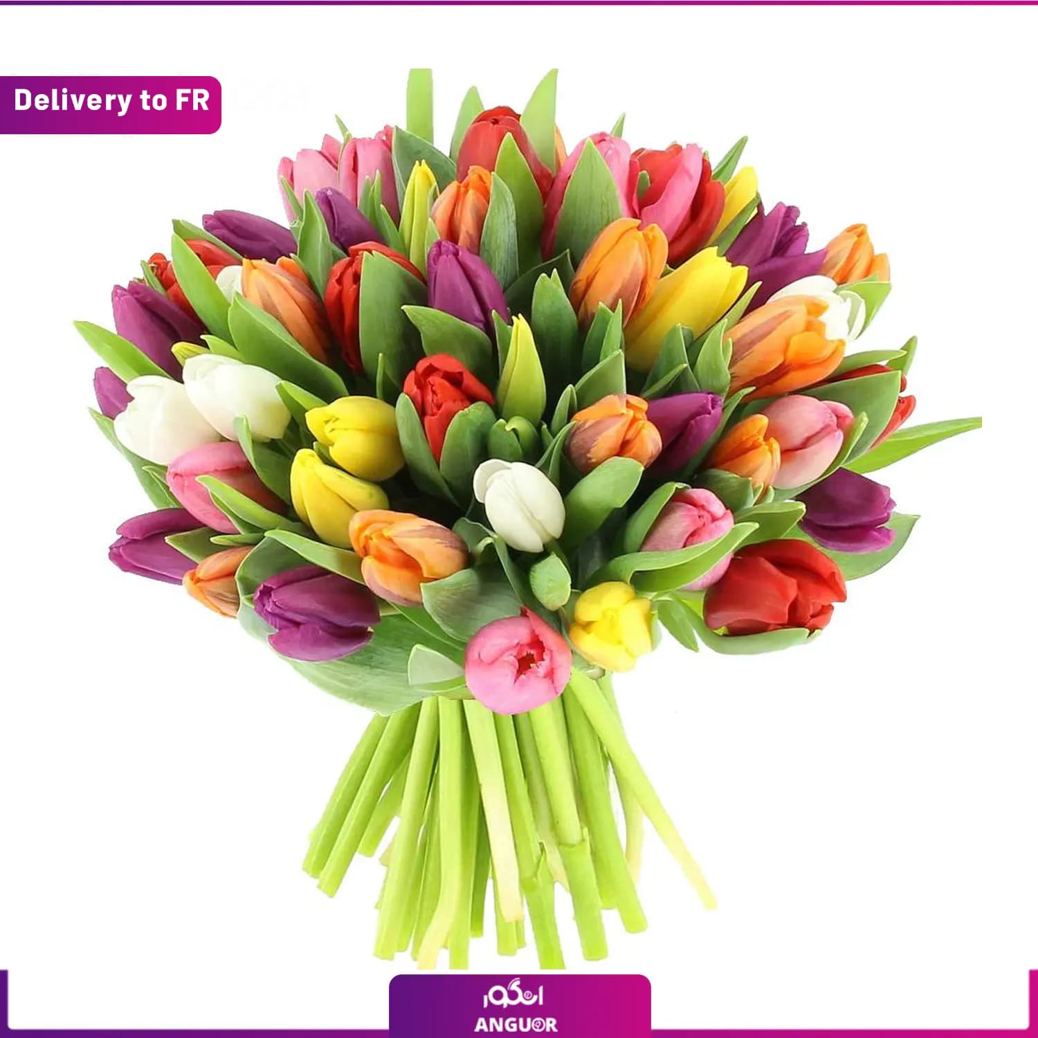 Bouquet of Multicolored Tulips (Delivery to France)