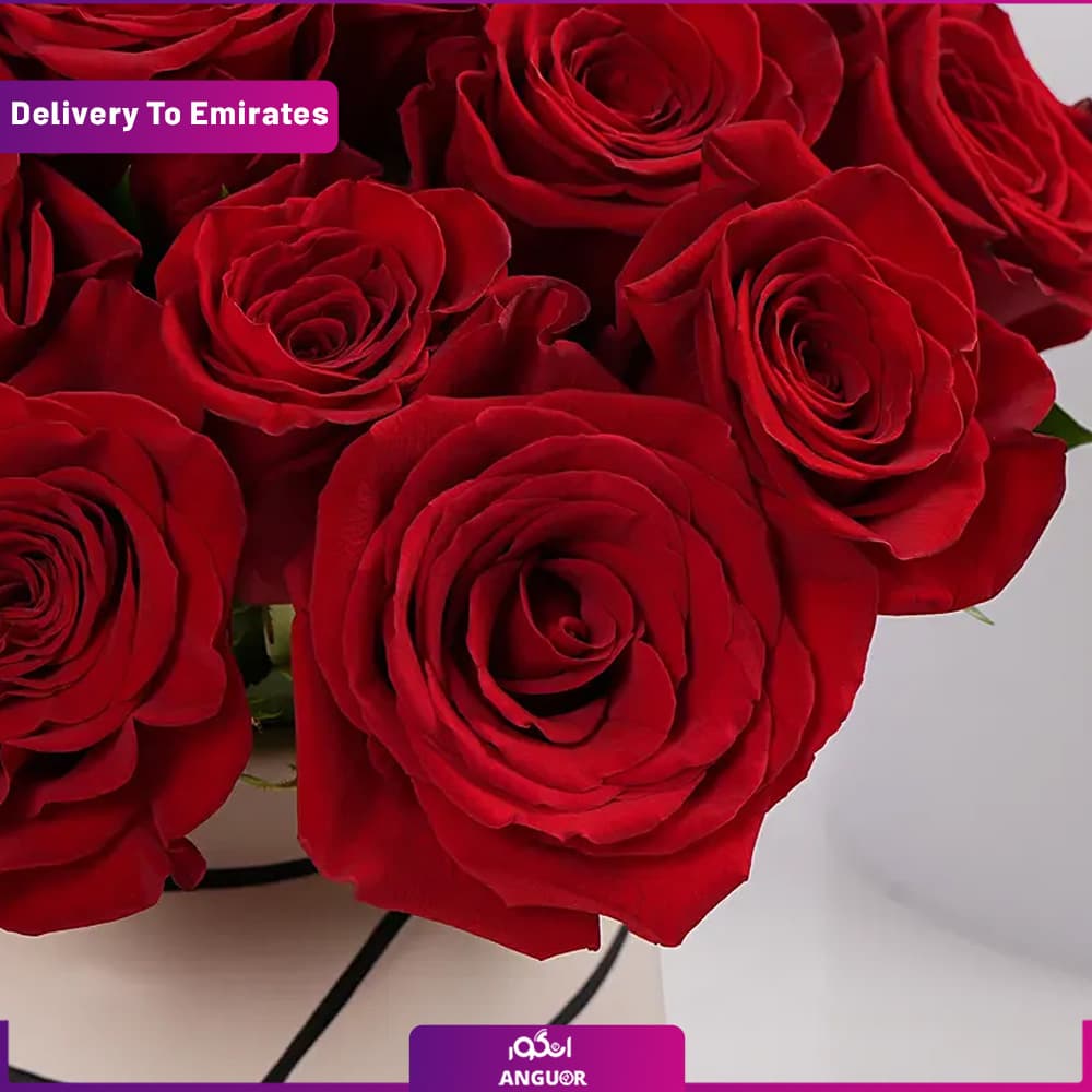 هدیه ارزشمند برای ولنتاین (تحویل در امارات) — تصویر ۲
