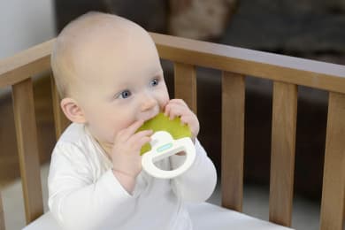 دندان گیر ژله ای طرح قارچ سبز کیدزمی Kidsme
