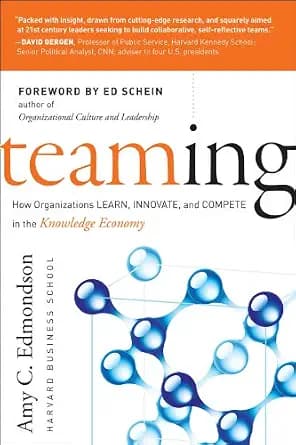 و دانلود نسخه کامل کتاب زبان اصلی Teaming: How Organizations Learn, Innovate, and Compete in the Knowledge Economy | دانلود کتاب خارجی